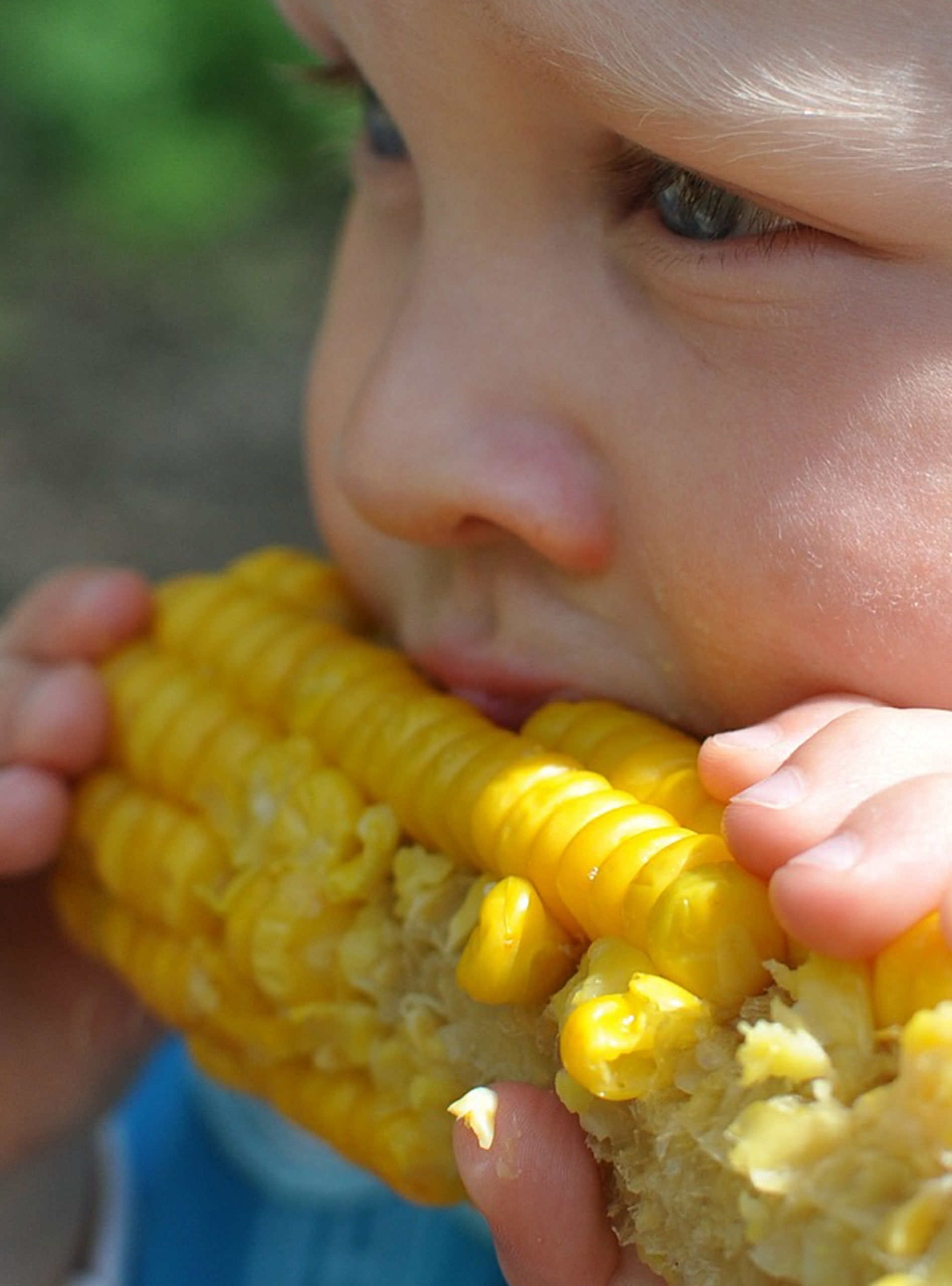 Image gallery marquee